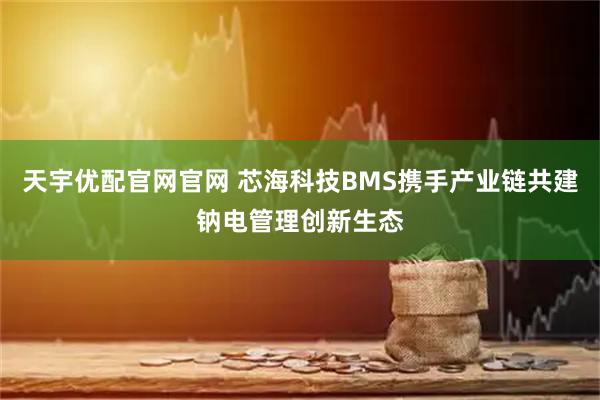 天宇优配官网官网 芯海科技BMS携手产业链共建钠电管理创新生态