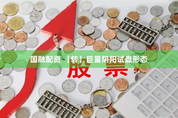国融配资 【转】巨量阴阳试盘形态